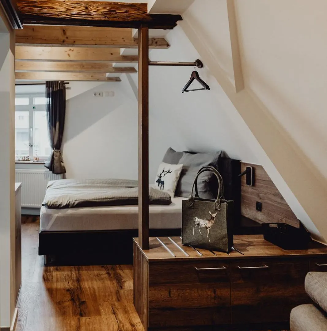 Apartment Stadt Land Fluss Boutique Aparthotel By Zollhaus Forchheim